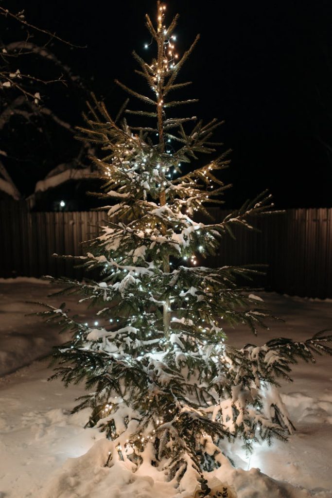 A Tree with Christmas Lights on a Snow Covered Ground